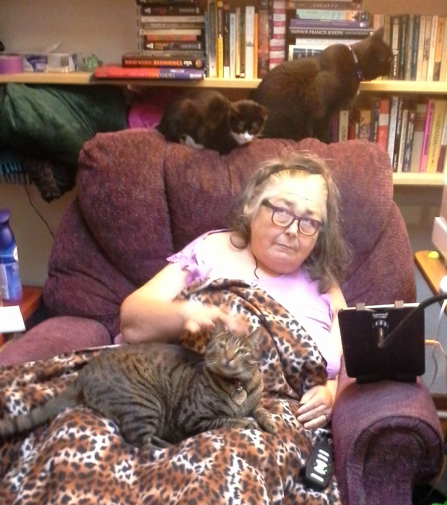 Colleen in her chair with Curio in her lap and the other two cats on
    the chair back.